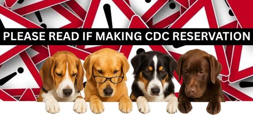 Pet Travel Regulations USDA | Expert Guidance by Noah’s Pet Transport